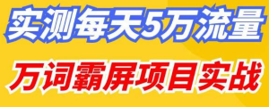 百度万词霸屏实操项目引流课，30天霸屏10万关键词网赚教程-副业赚钱-互联网创业-手机赚钱-网赚项目-98副业网-精品课程-知识付费-网赚创业网98副业网