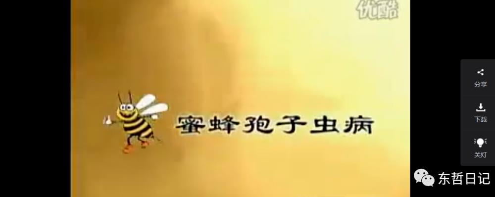 东哲日记:全网首创实物虚拟电商项目,速来捡钱,成本低,一单赚几十块!插图2 bcb1f-4-3