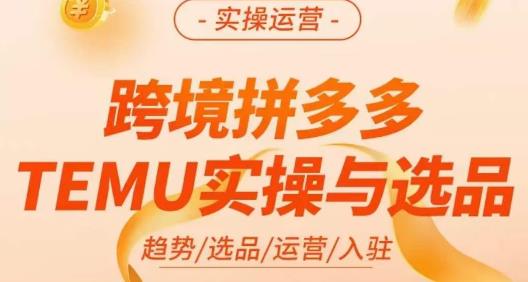 伍跃·跨境拼多多TEMU实操与选品，趋势/选品/运营/入住(27节完整)网赚教程-副业赚钱-互联网创业-手机赚钱-网赚项目-98副业网-精品课程-知识付费-网赚创业网98副业网