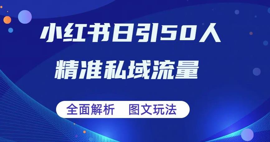 全面解析小红书图文引流日引50私域流量[揭秘]网赚教程-副业赚钱-互联网创业-手机赚钱-网赚项目-98副业网-精品课程-知识付费-网赚创业网98副业网