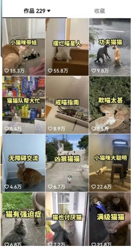 拆解：抖音盘点类中视频变现副业项目，视频版一条龙大解析分享给你12