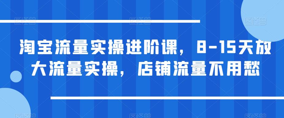 淘宝流量实操进阶课，8-15天放大流量实操，店铺流量不用愁网赚教程-副业赚钱-互联网创业-手机赚钱-网赚项目-98副业网-精品课程-知识付费-网赚创业网98副业网