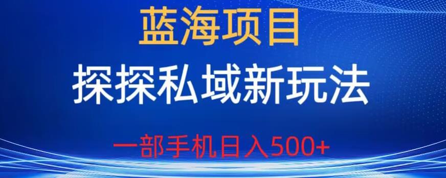 蓝海项目，探探私域新玩法，一部手机日入500+很轻松(揭秘]网赚教程-副业赚钱-互联网创业-手机赚钱-网赚项目-98副业网-精品课程-知识付费-网赚创业网98副业网