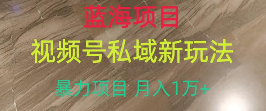 蓝海项目，视频号私域新玩法，暴力项目月入1万+[揭秘]网赚教程-副业赚钱-互联网创业-手机赚钱-网赚项目-98副业网-精品课程-知识付费-网赚创业网98副业网