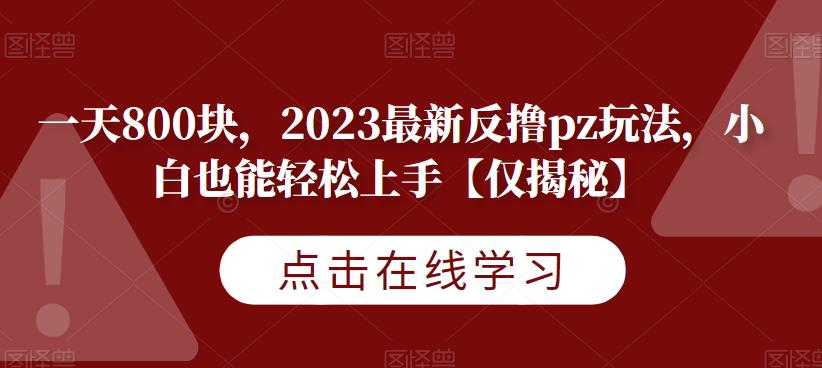 天800块，2023最新反撸pz玩法，小白也能轻松上手[仅揭秘]网赚教程-副业赚钱-互联网创业-手机赚钱-网赚项目-98副业网-精品课程-知识付费-网赚创业网98副业网