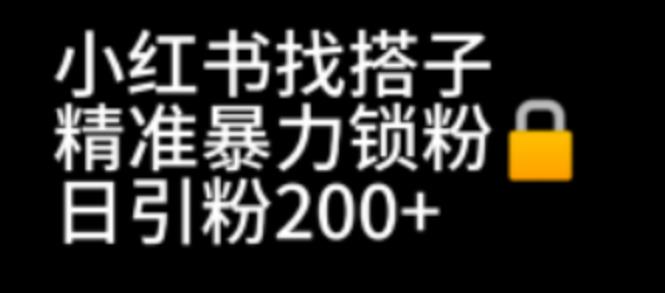 小红书找搭子暴力精准锁粉+引流日引200+精准粉网赚教程-副业赚钱-互联网创业-手机赚钱-网赚项目-98副业网-精品课程-知识付费-网赚创业网98副业网