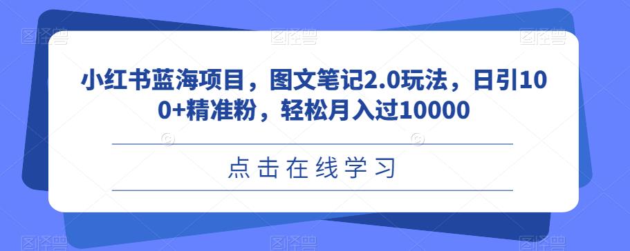 小红书蓝海项目，图文笔记2.0玩法，日引100+精准粉，轻松月入过10000[揭秘]网赚教程-副业赚钱-互联网创业-手机赚钱-网赚项目-98副业网-精品课程-知识付费-网赚创业网98副业网