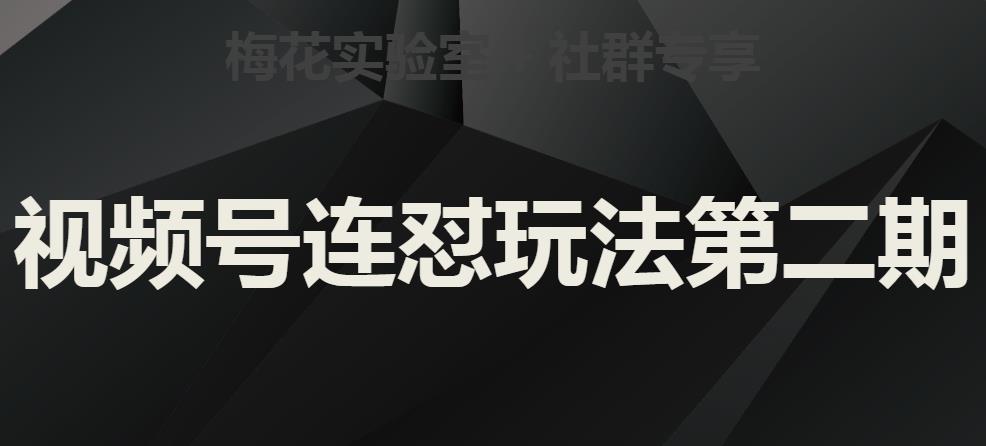 梅花实验室社群视频号连怼玩法第二期，实操讲解全部过程网赚教程-副业赚钱-互联网创业-手机赚钱-网赚项目-98副业网-精品课程-知识付费-网赚创业网98副业网