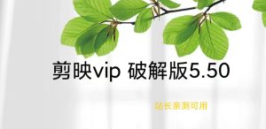 解锁剪映vip会员版.亲测可用网赚教程-副业赚钱-互联网创业-手机赚钱-网赚项目-98副业网-精品课程-知识付费-网赚创业网98副业网