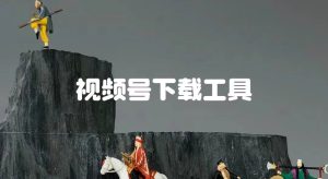 视频号下载助手，电脑版网赚教程-副业赚钱-互联网创业-手机赚钱-网赚项目-98副业网-精品课程-知识付费-网赚创业网98副业网